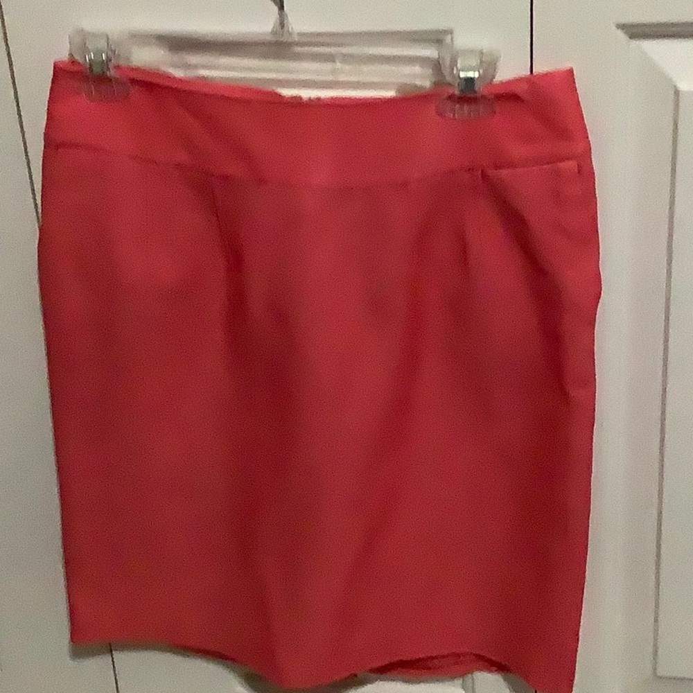 NWT Skirt in Salmon. Size 4